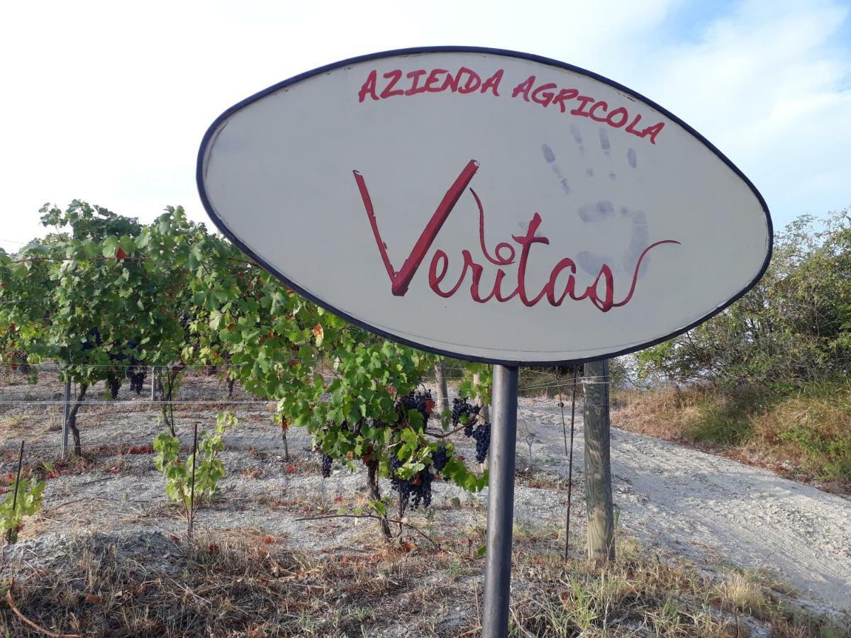 Agriturismo "Veritas" bed & Wine Casaleggio Boiro Exterior foto